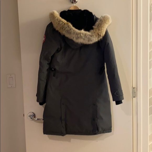 Grey Canada Goose - Picture 2 of 2